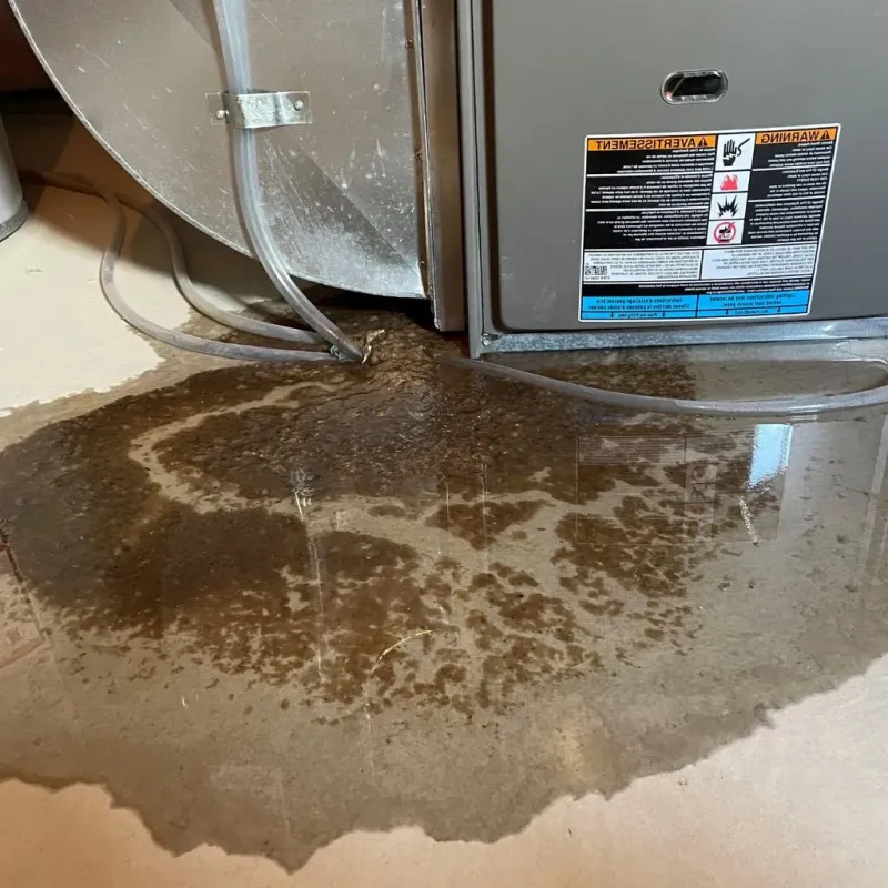 Pipe Burst and Leak Restoration in New Canaan, CT