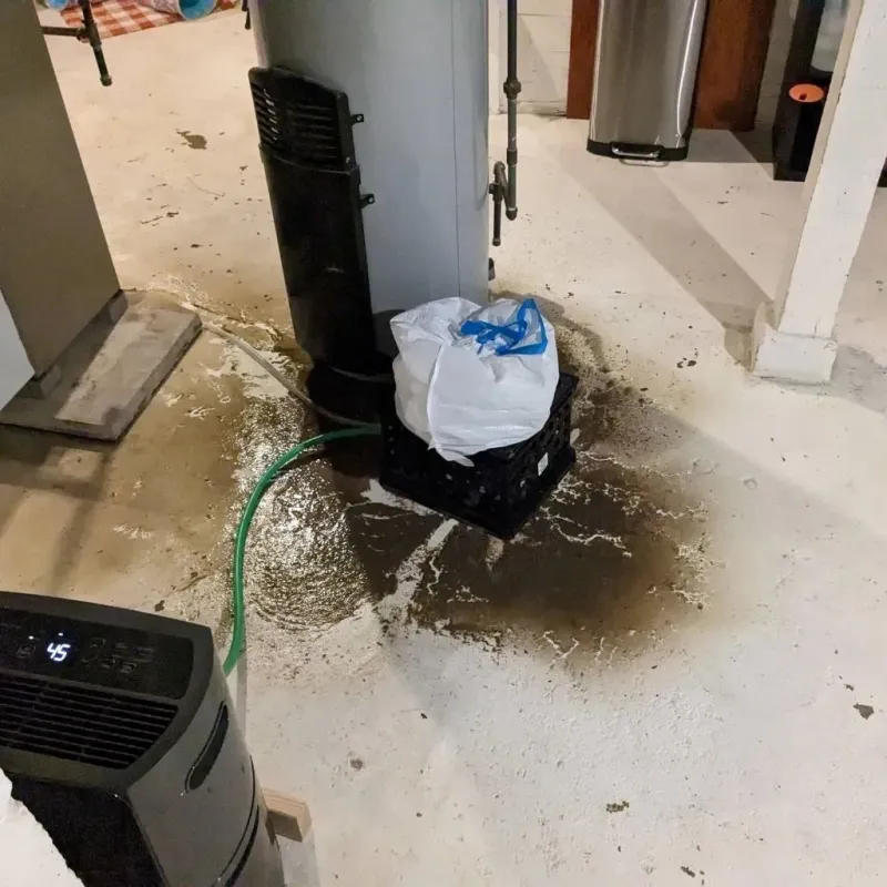 Sewage Backup Cleanup Service in New Canaan, CT